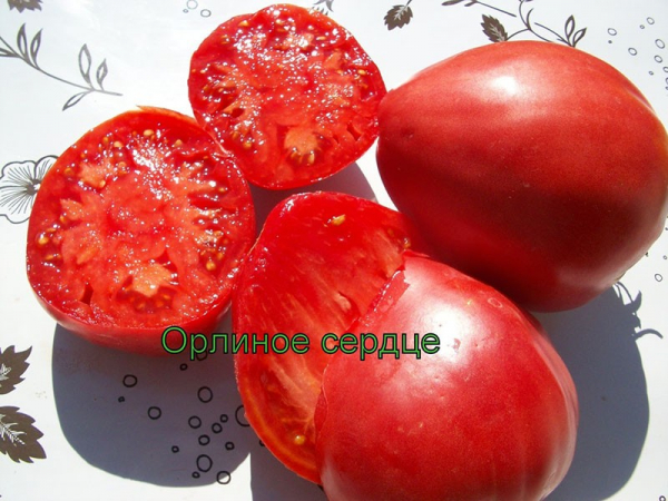 Высокорослый крупноплодный сорт томата Орлиное сердце для дачного участка